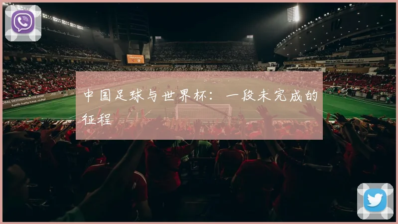 中国足球与世界杯:一段未完成的征程