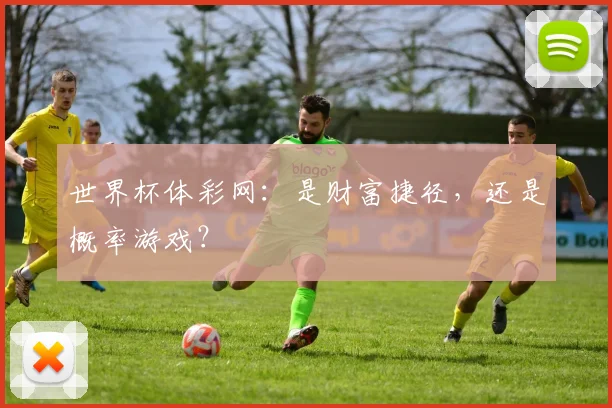 世界杯体彩网:是财富捷径,还是概率游戏?