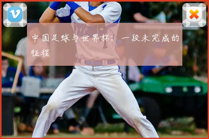 中国足球与世界杯：一段未完成的征程