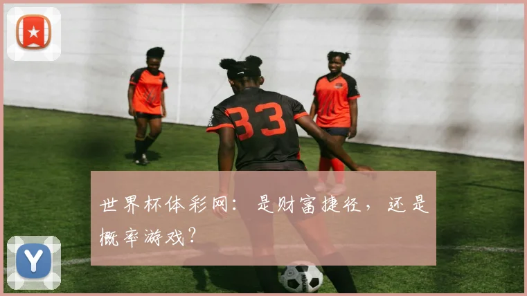 世界杯体彩网:是财富捷径,还是概率游戏?