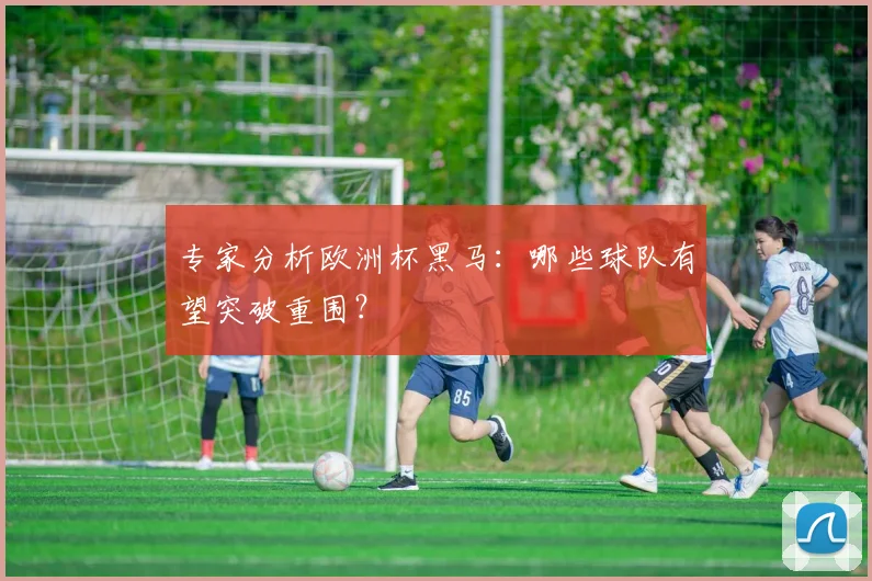 专家分析欧洲杯黑马：哪些球队有望突破重围？