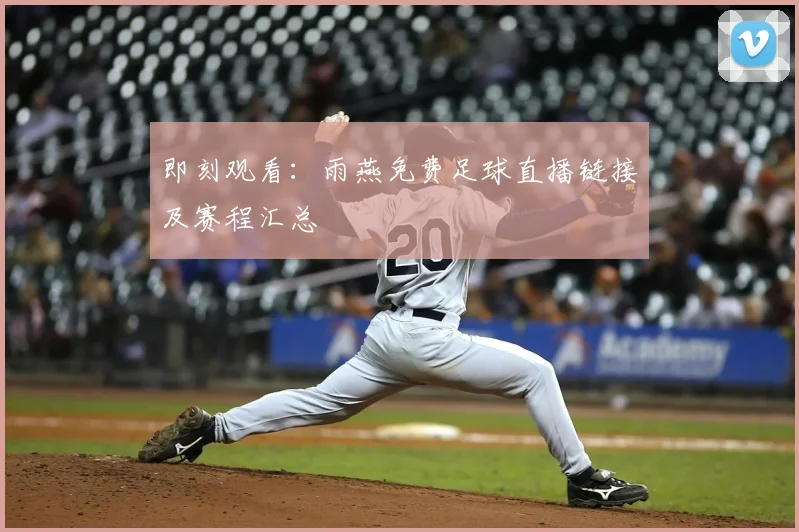 即刻观看：雨燕免费足球直播链接及赛程汇总