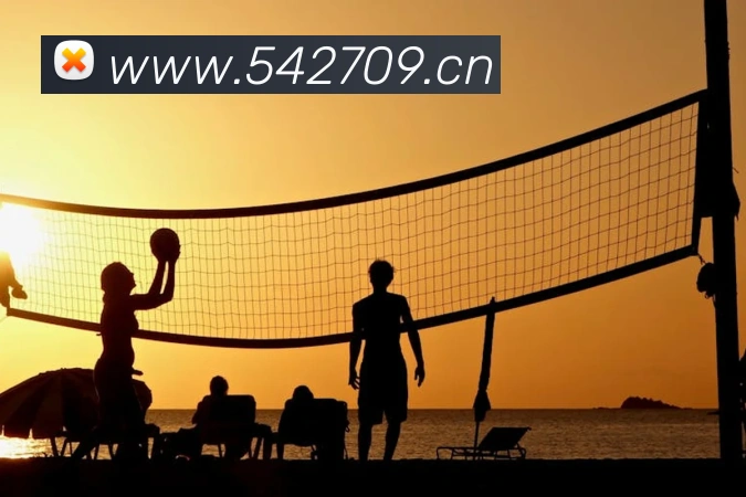 hth华体网页版发展历程